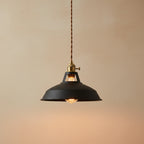 Vintage barn pendant light with matte black metal shade and exposed bulb socket