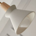 Pendant light shade close-up: white cone with curved opening and light gray top